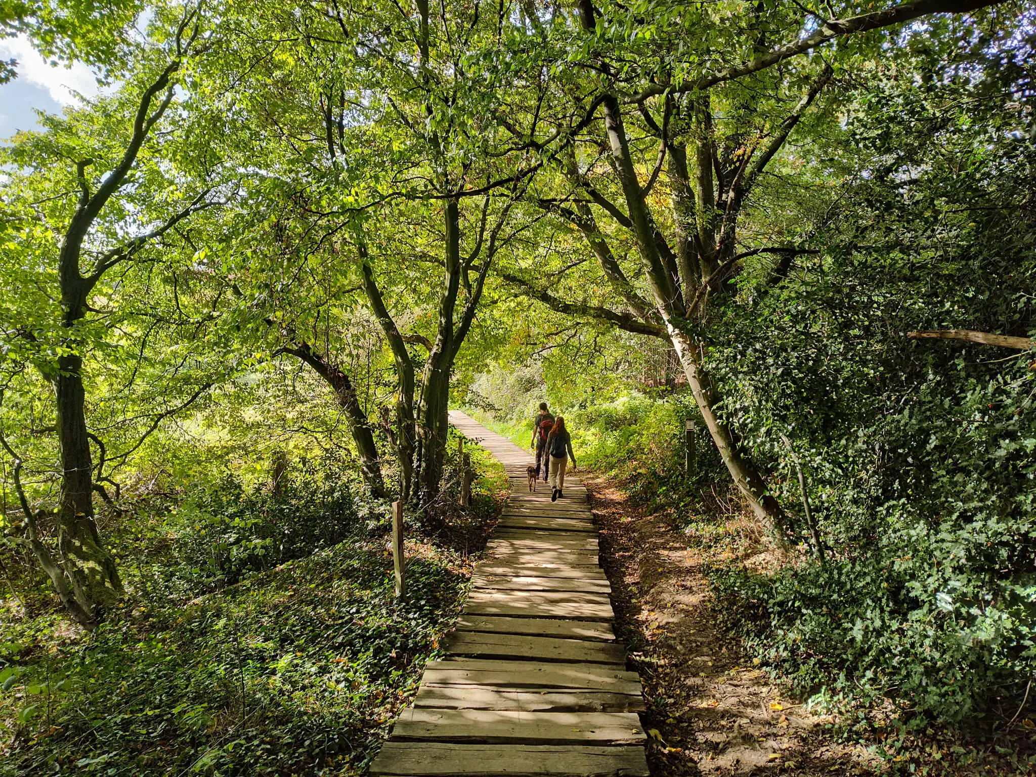 Stiltewandeling